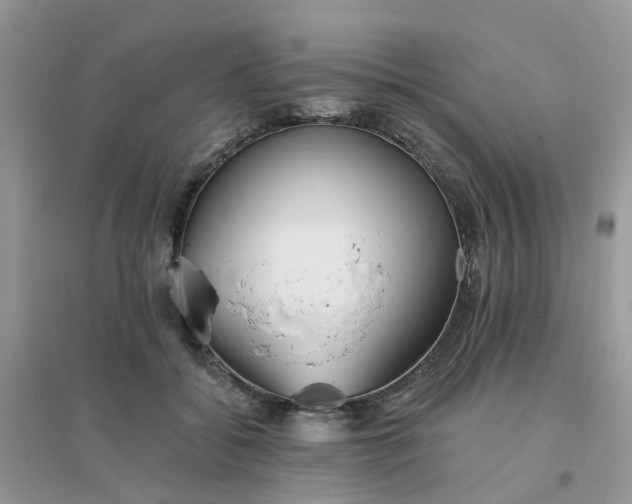 X0000096150556200802011235
