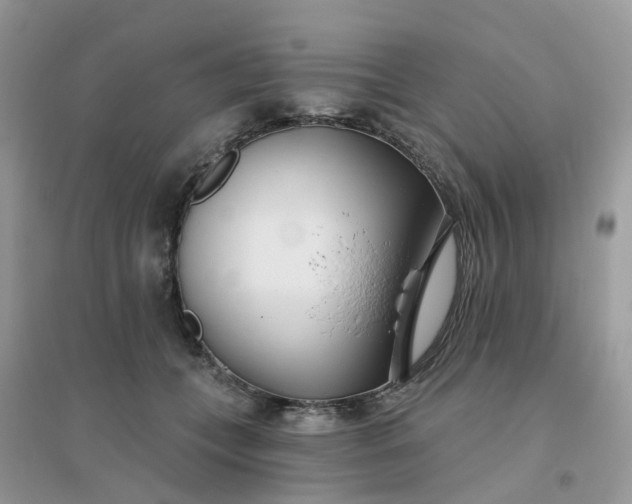 X0000096150559200802011235