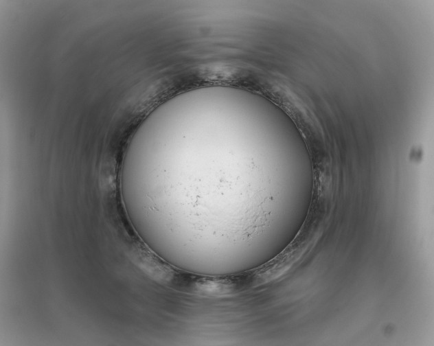 X0000096150561200802011235