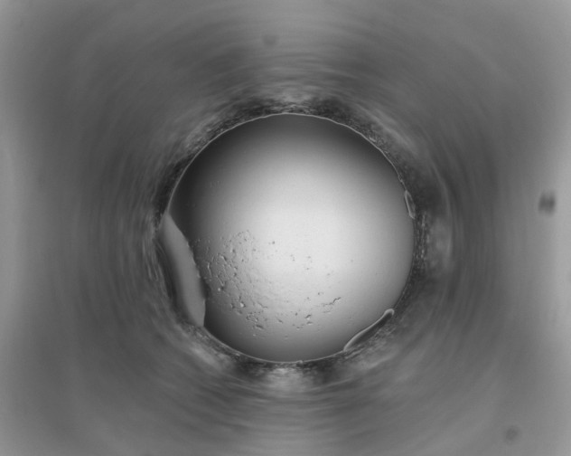 X0000096150562200802011235