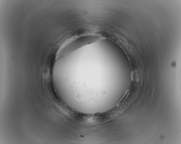 X0000096150564200802011235