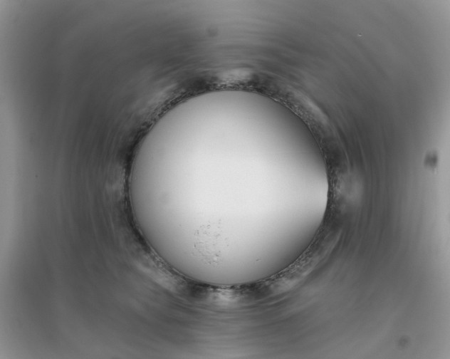 X0000096150565200802011235
