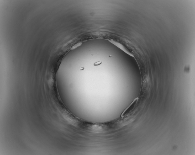 X0000096150566200802011235