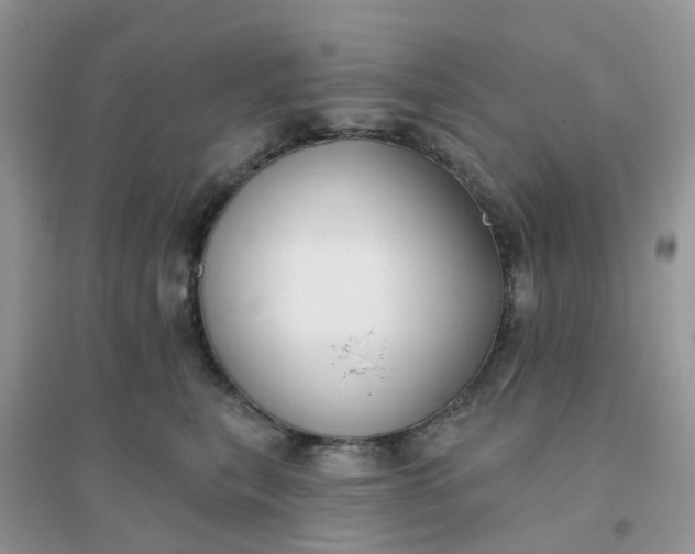 X0000096150567200802011235