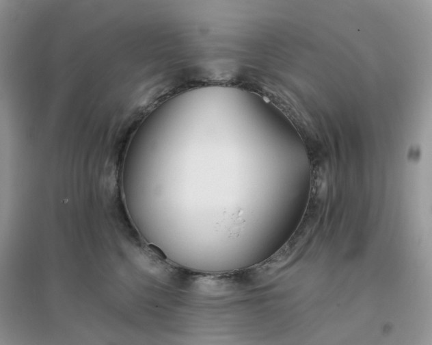 X0000096150568200802011235