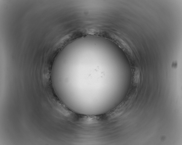 X0000096150569200802011235