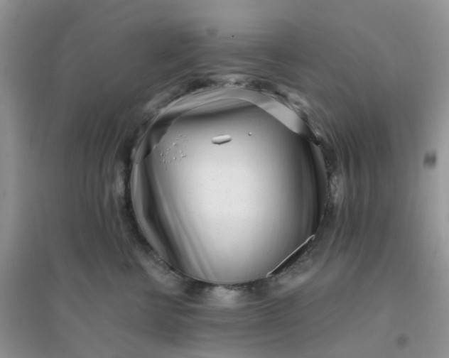 X0000096150570200802011235