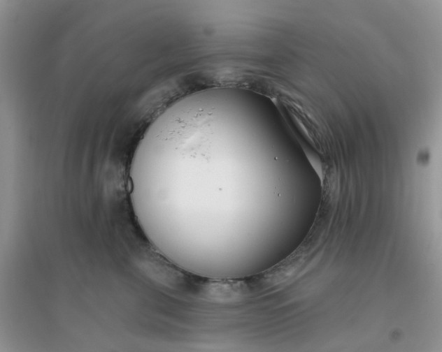 X0000096150571200802011235