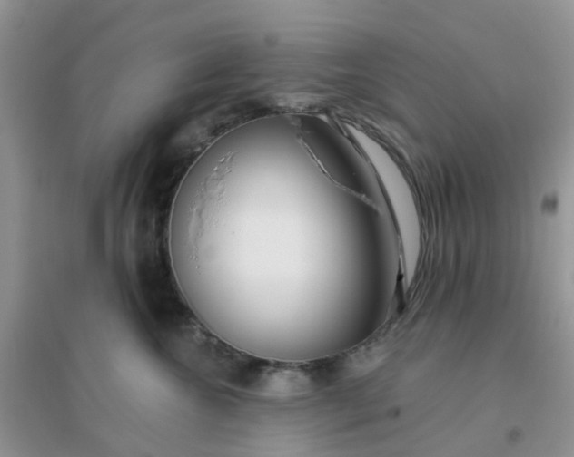 X0000096150572200802011235