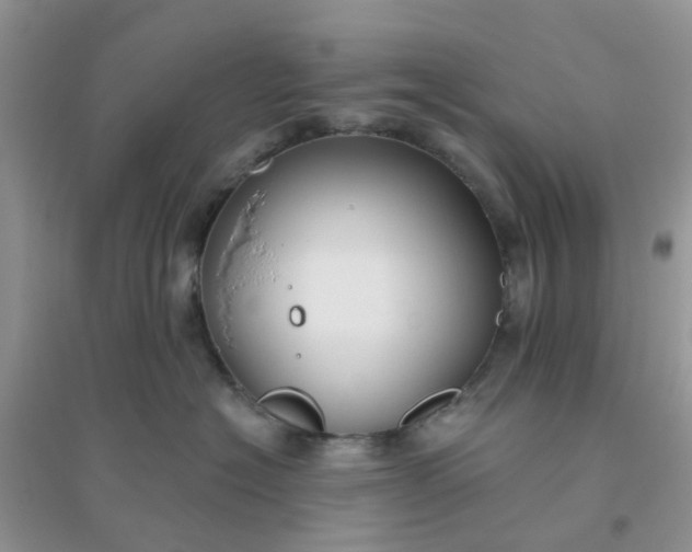 X0000096150574200802011235
