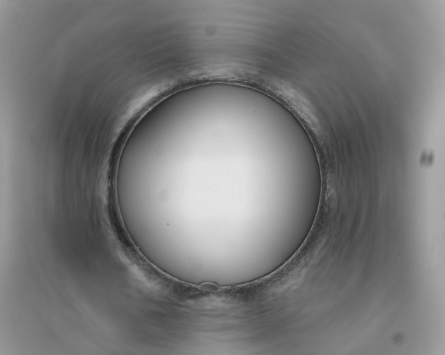 X0000096150578200802011235