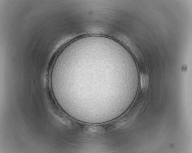 X0000096150579200802011235