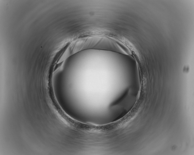 X0000096150581200802011235