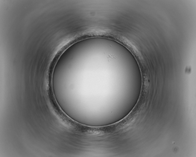 X0000096150582200802011235