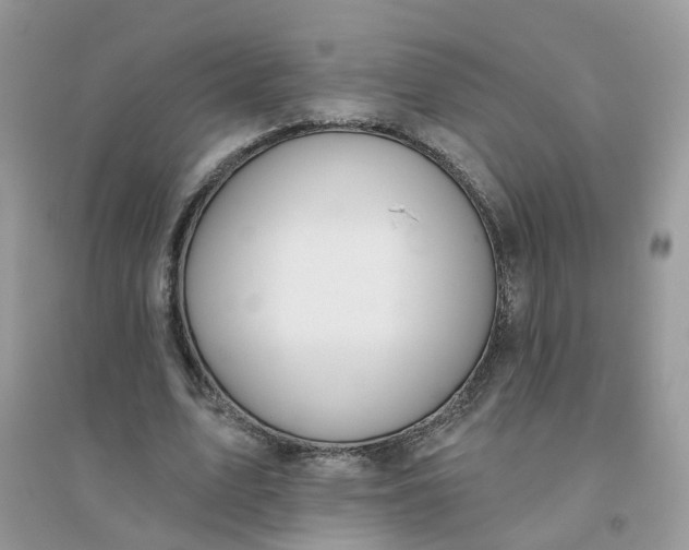 X0000096150583200802011235