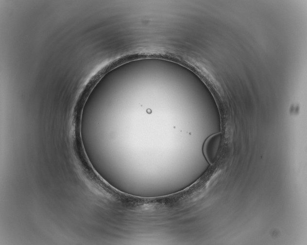 X0000096150584200802011235