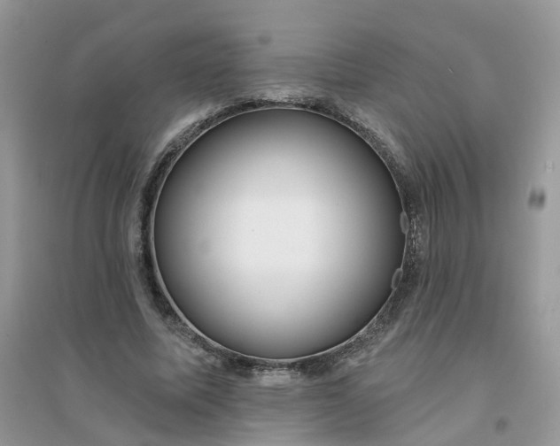 X0000096150587200802011235