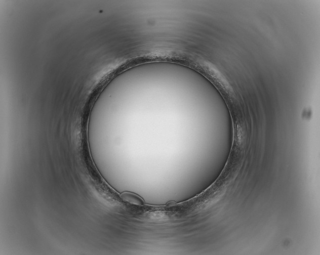 X0000096150588200802011235