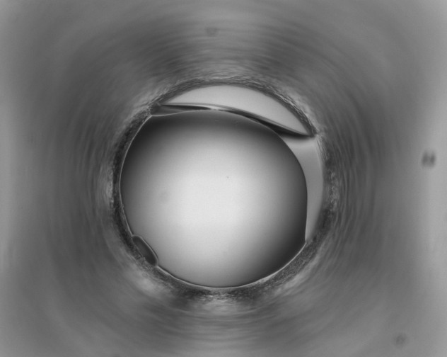 X0000096150589200802011235