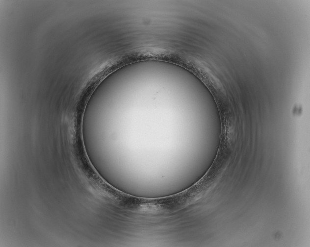 X0000096150591200802011235