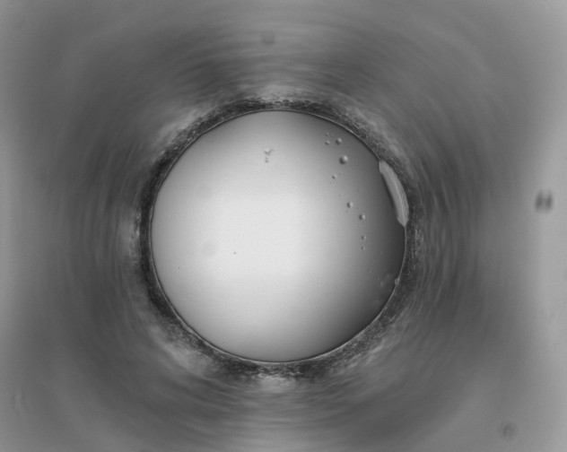 X0000096150592200802011235