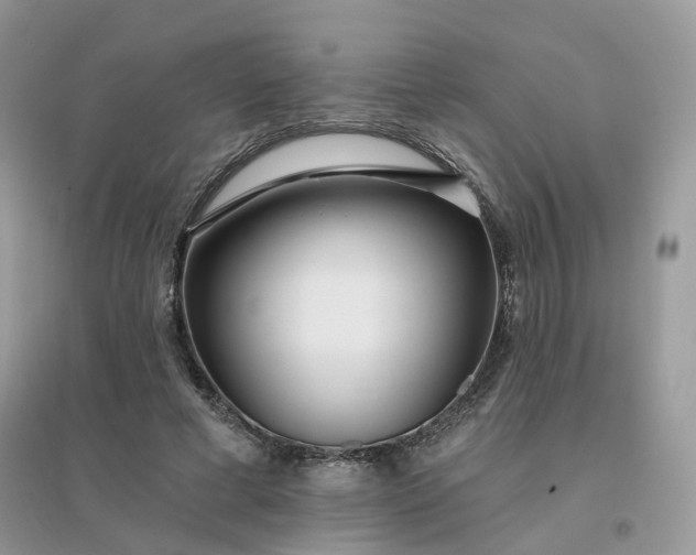 X0000096150593200802011235