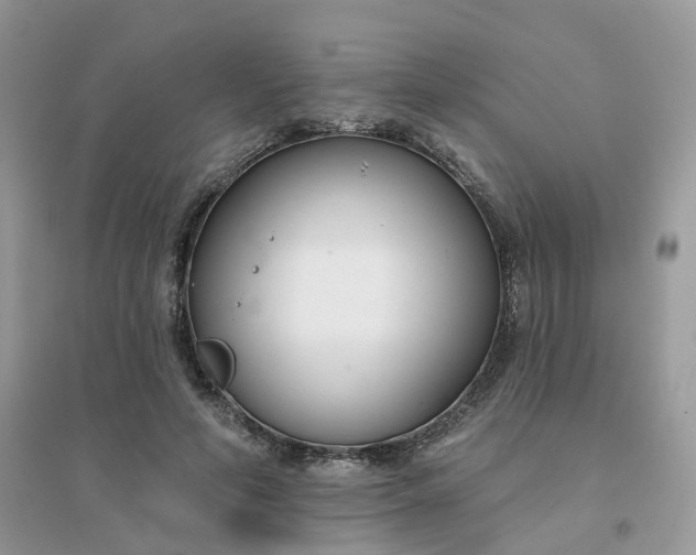 X0000096150594200802011235