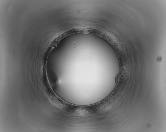 X0000096150596200802011235