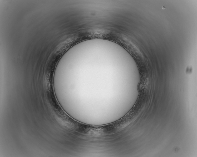 X0000096150599200802011234