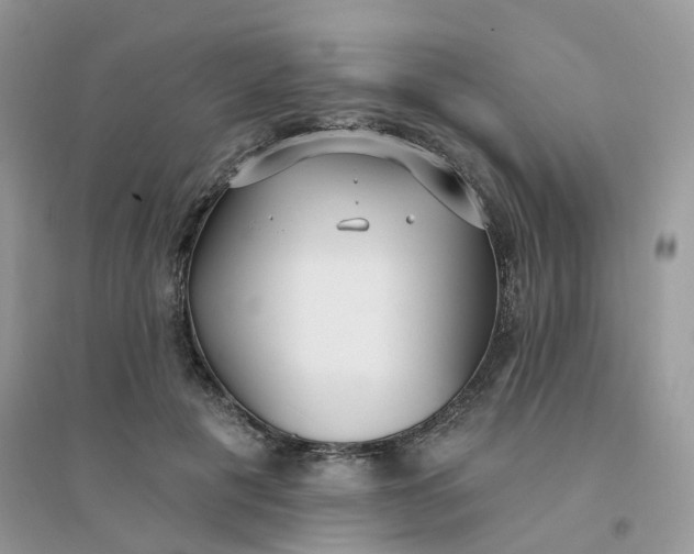 X0000096150601200802011234