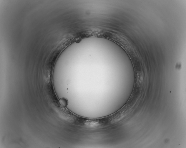 X0000096150602200802011234