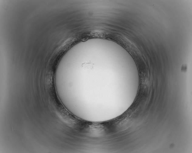 X0000096150603200802011234