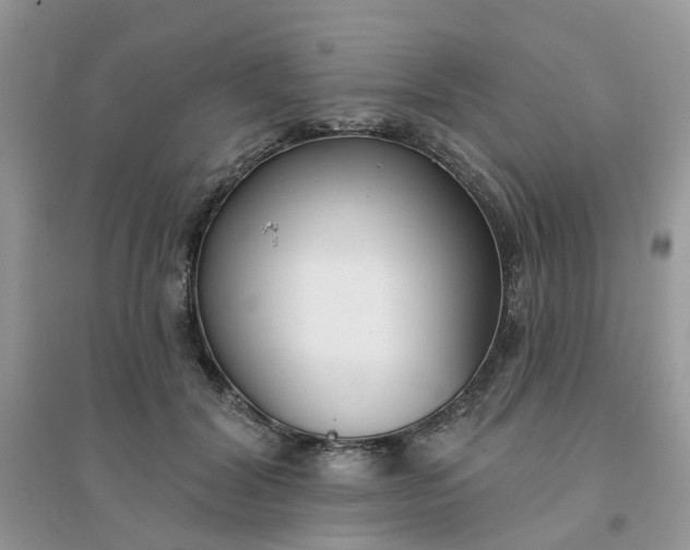 X0000096150604200802011234
