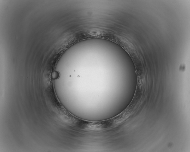 X0000096150606200802011234