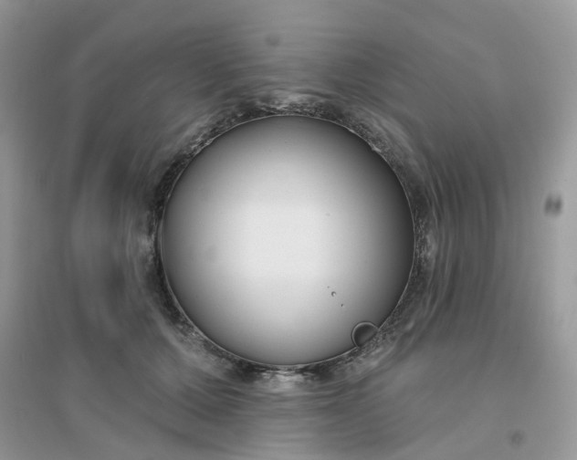 X0000096150607200802011234