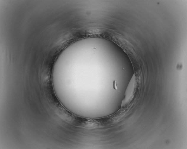 X0000096150608200802011234