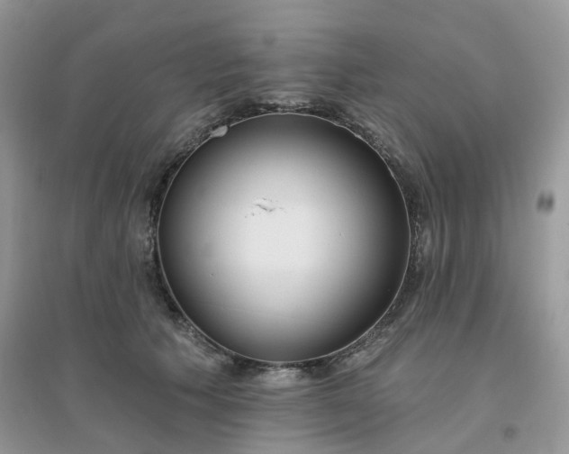 X0000096150609200802011234