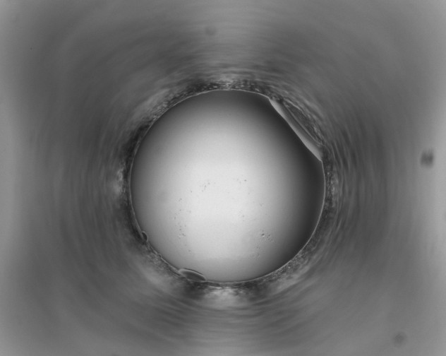 X0000096150611200802011234