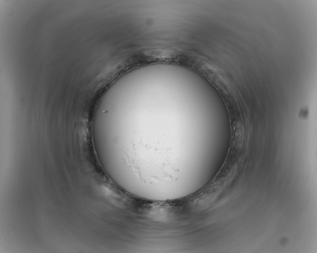 X0000096150612200802011234