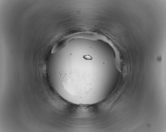 X0000096150613200802011234