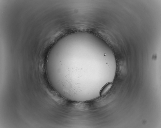 X0000096150615200802011234