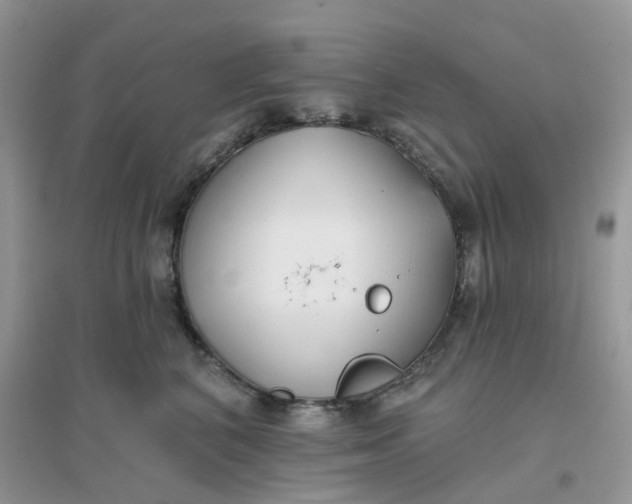 X0000096150616200802011234