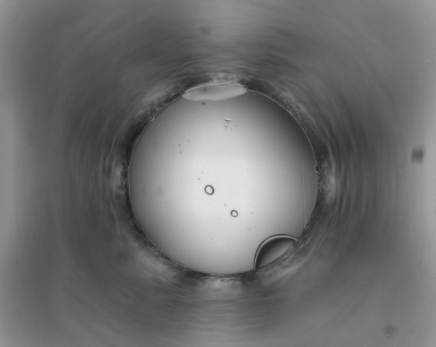 X0000096150619200802011234