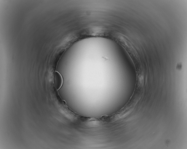X0000096150620200802011234