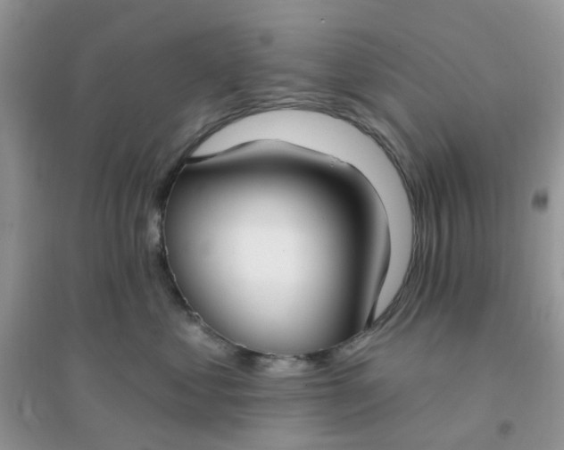 X0000096150621200802011234