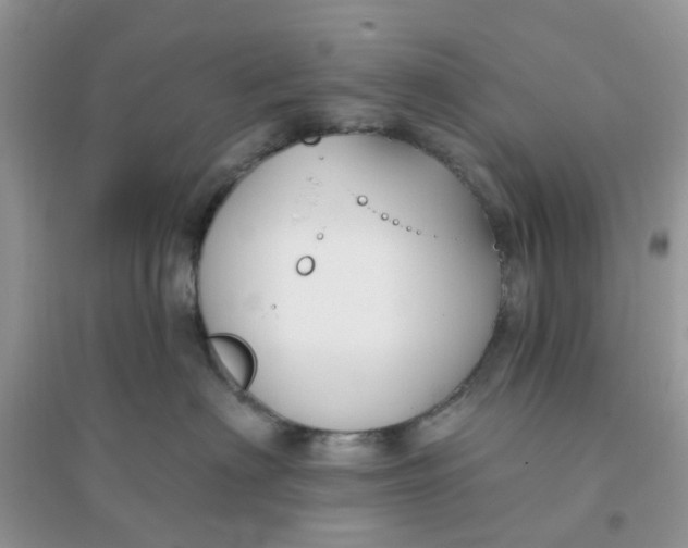X0000096150622200802011234