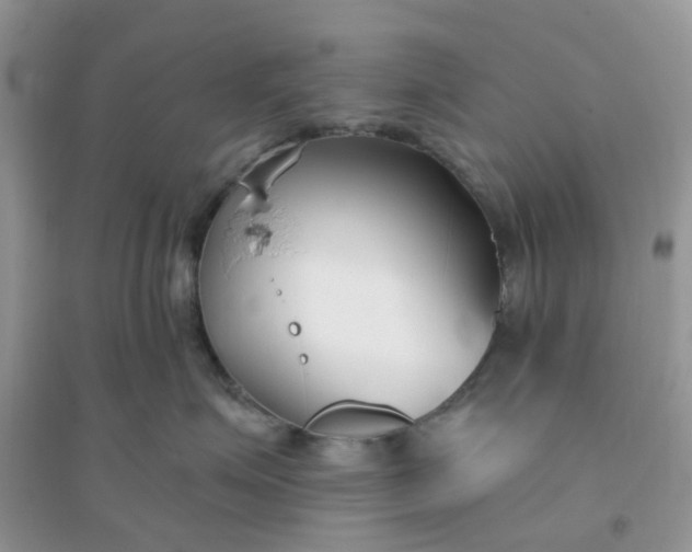 X0000096150623200802011234