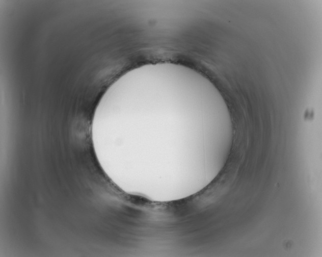 X0000096150624200802011234