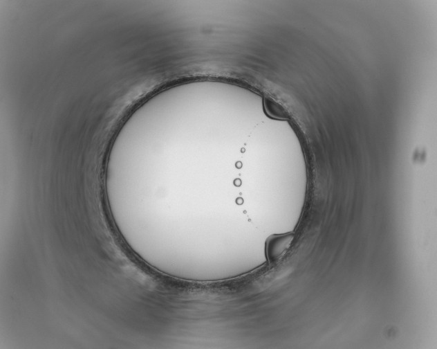 X0000096150625200802011233