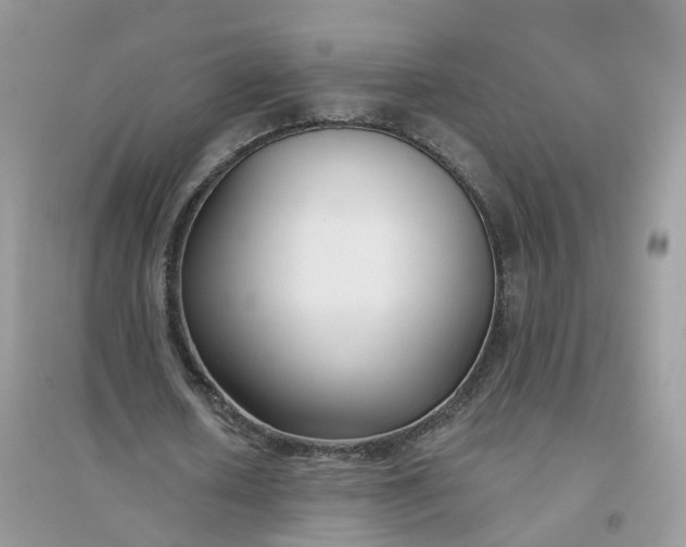X0000096150626200802011233